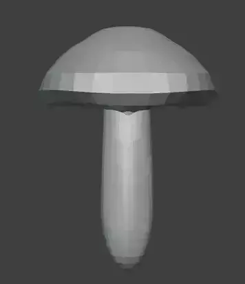 Portobello Mushroom