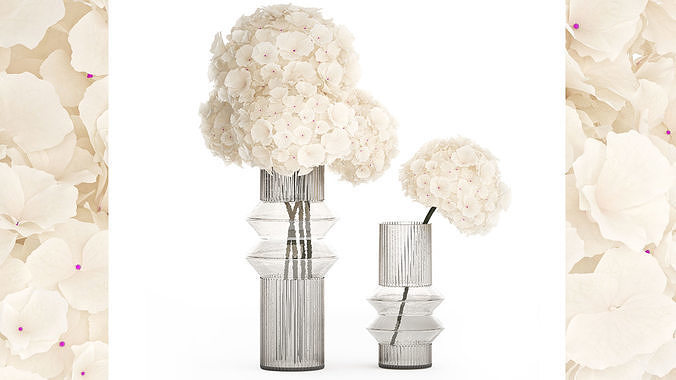 Solemn bouquet of white flowers in a vase with hydrangea 370 3D model