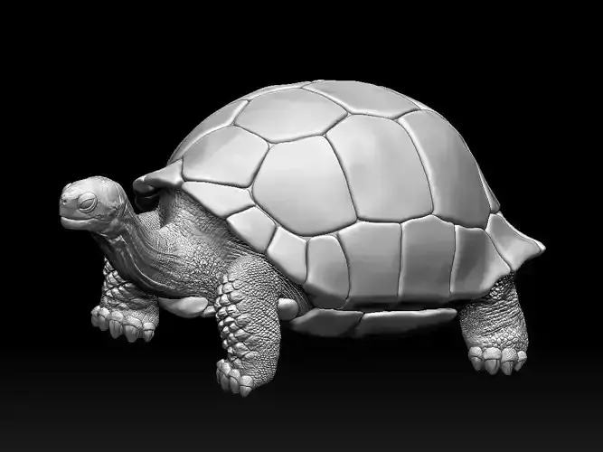 turtle 3D print model
