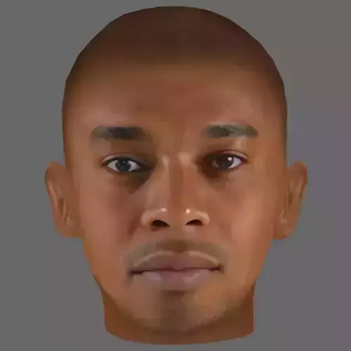 Fernandinho Head - Low poly head for game Low-poly