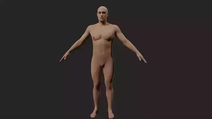 Dave - Photorealistic Male Anatomy Model Low-poly 3D model