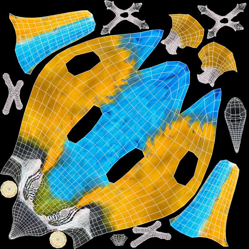 Blue and Yellow Macaw Low-poly 3D model_17
