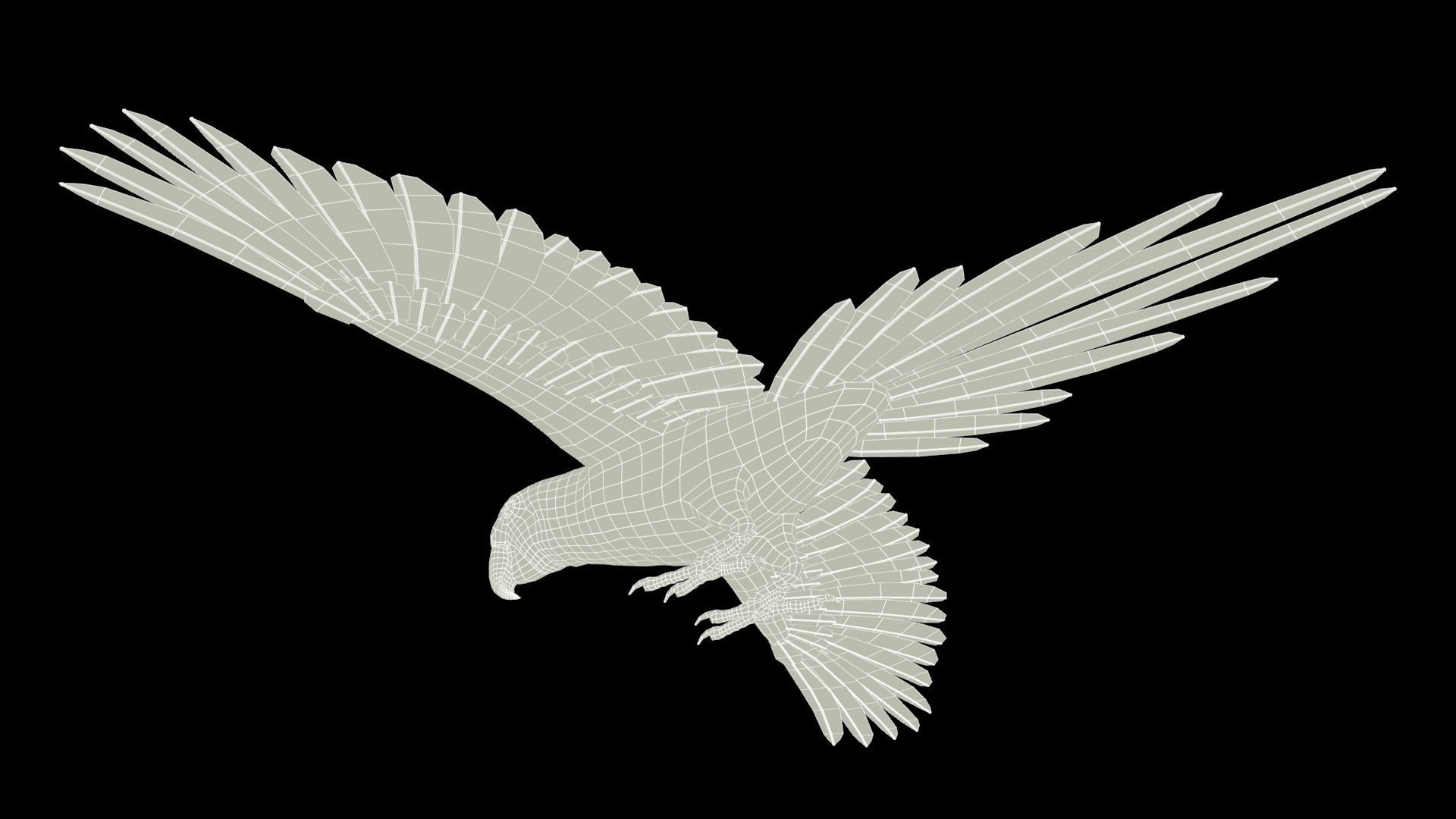 Blue and Yellow Macaw Low-poly 3D model_13