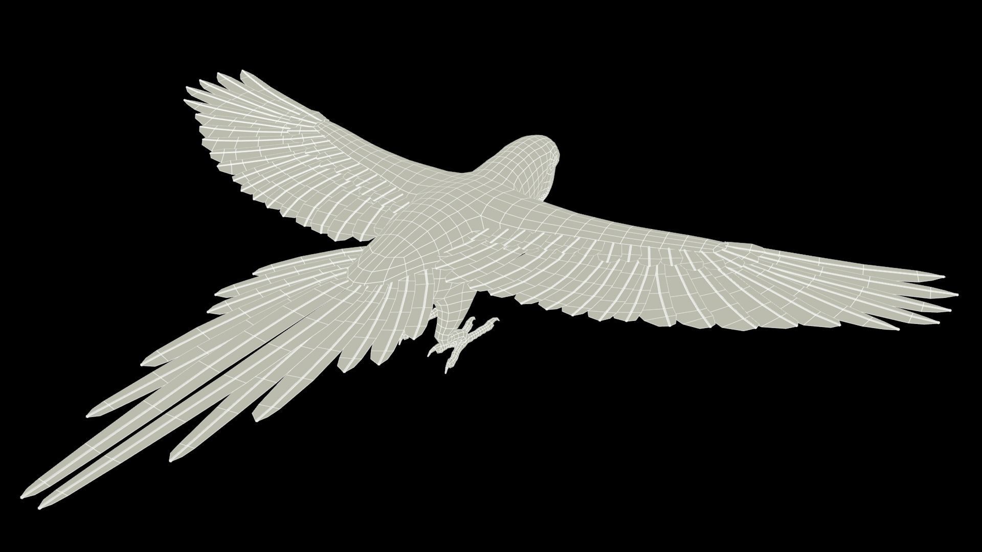 Blue and Yellow Macaw Low-poly 3D model_14