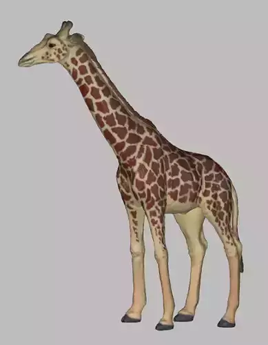 Giraffe 3D Model 3D print model