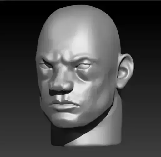 Head  Sculpter 