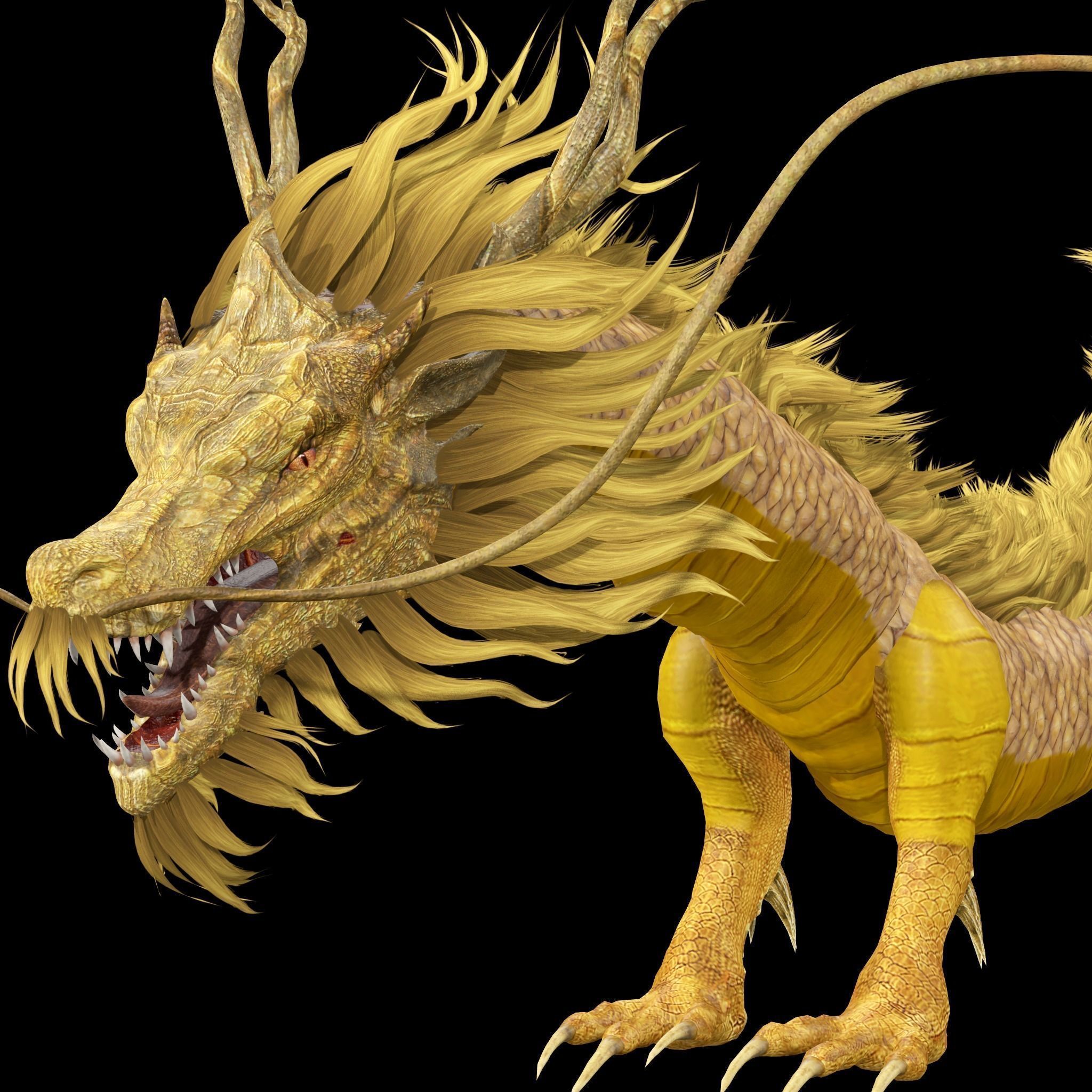 Chinese Dragon Animated 3D model_22
