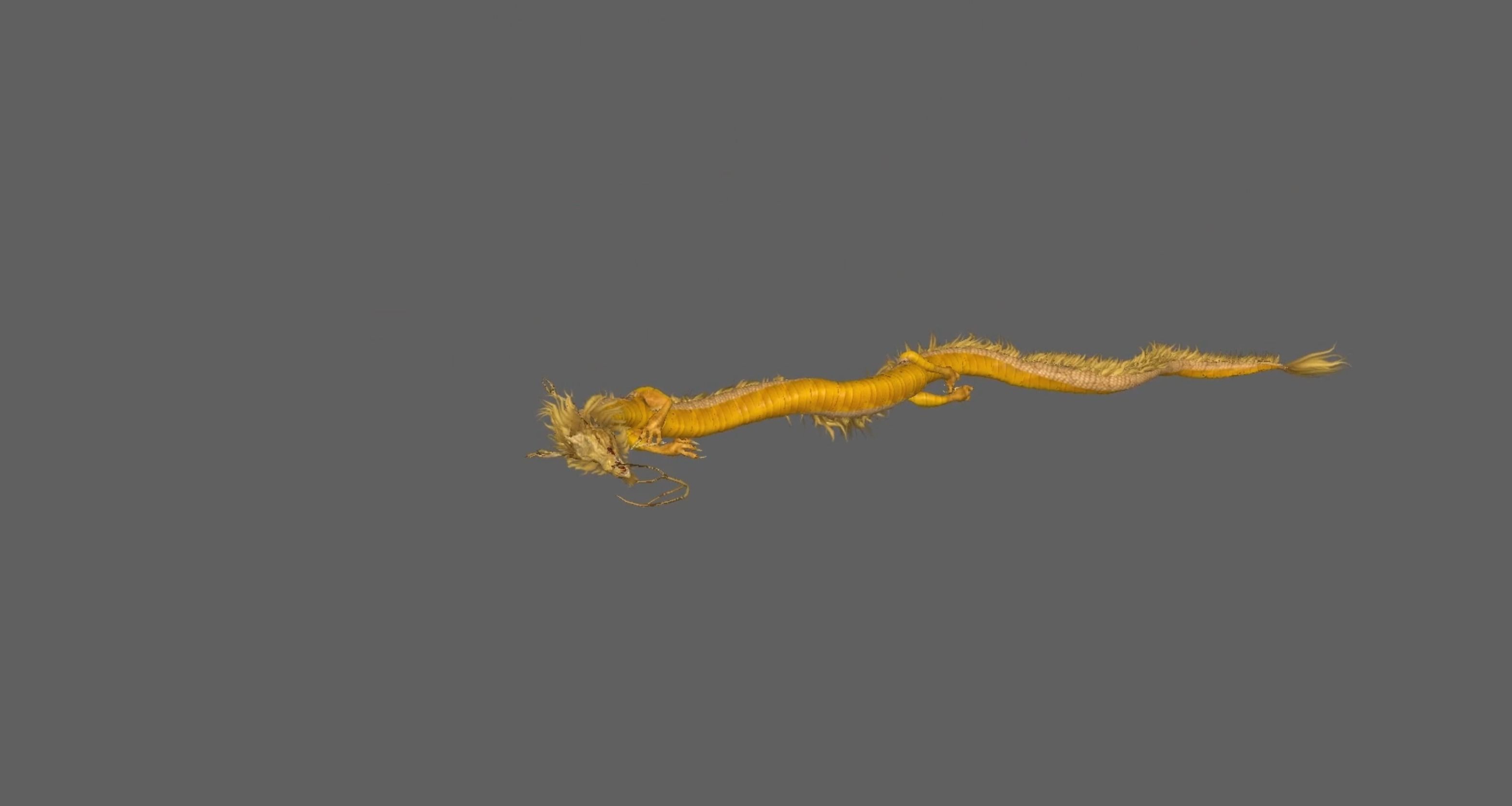 Chinese Dragon Animated 3D model_7