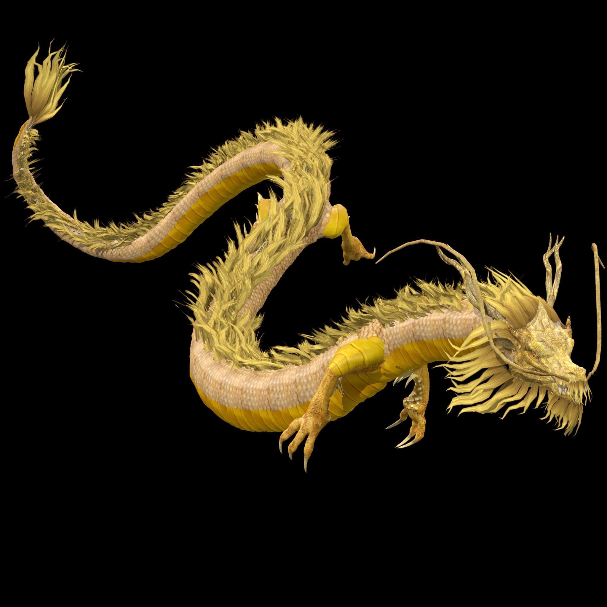 Chinese Dragon Animated 3D model_1