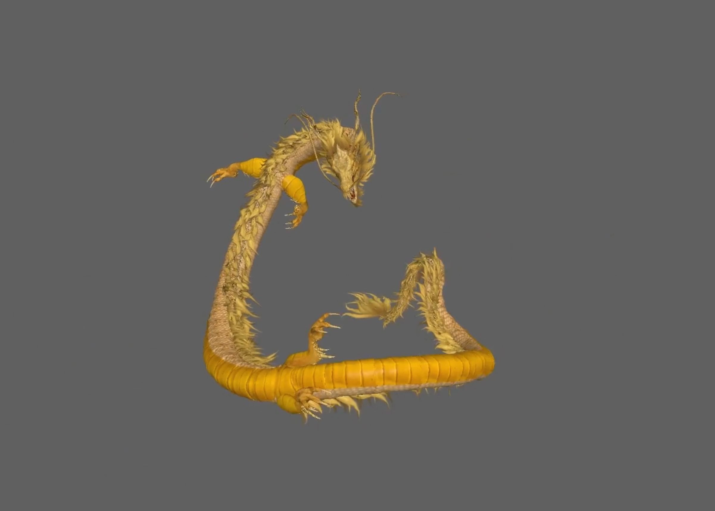Chinese Dragon Animated 3D model_8