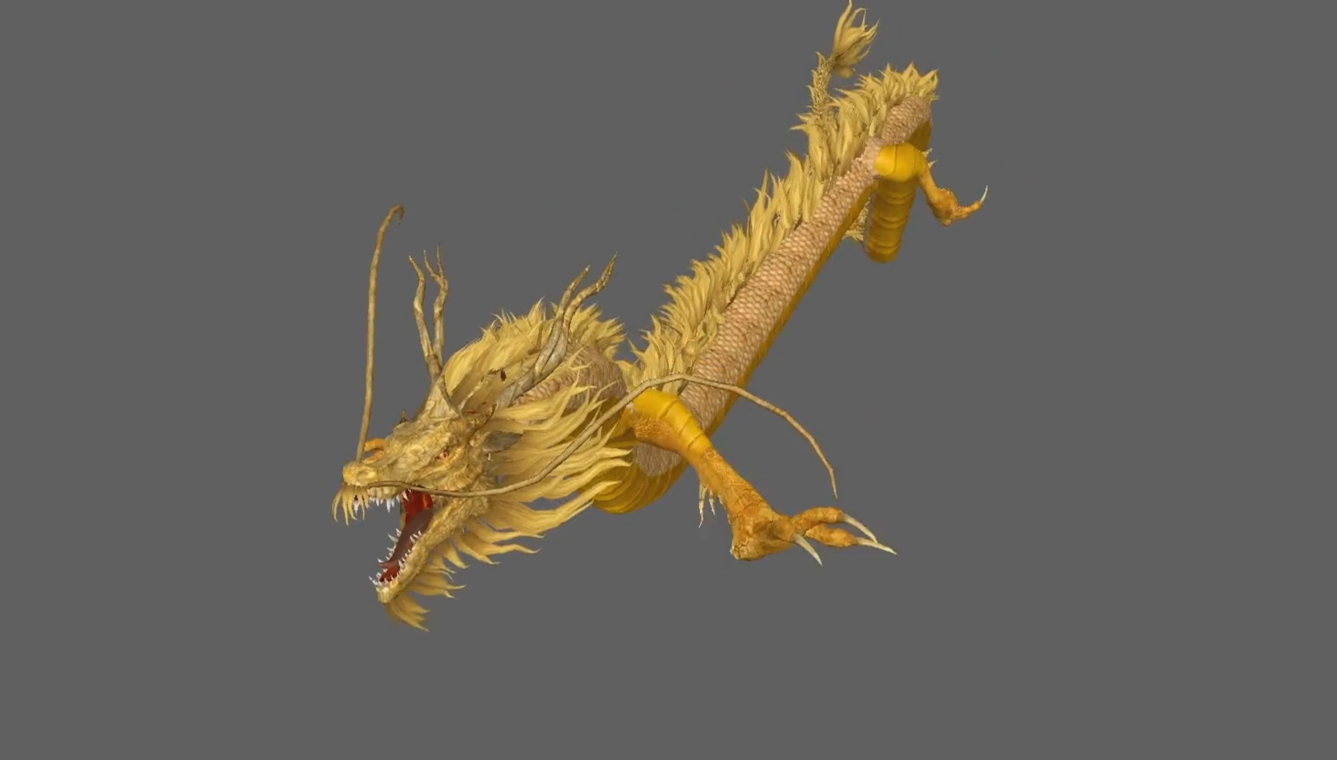 Chinese Dragon Animated 3D model_11