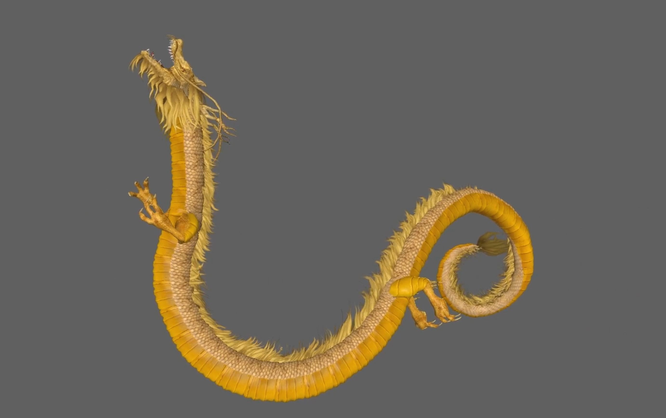 Chinese Dragon Animated 3D model_10