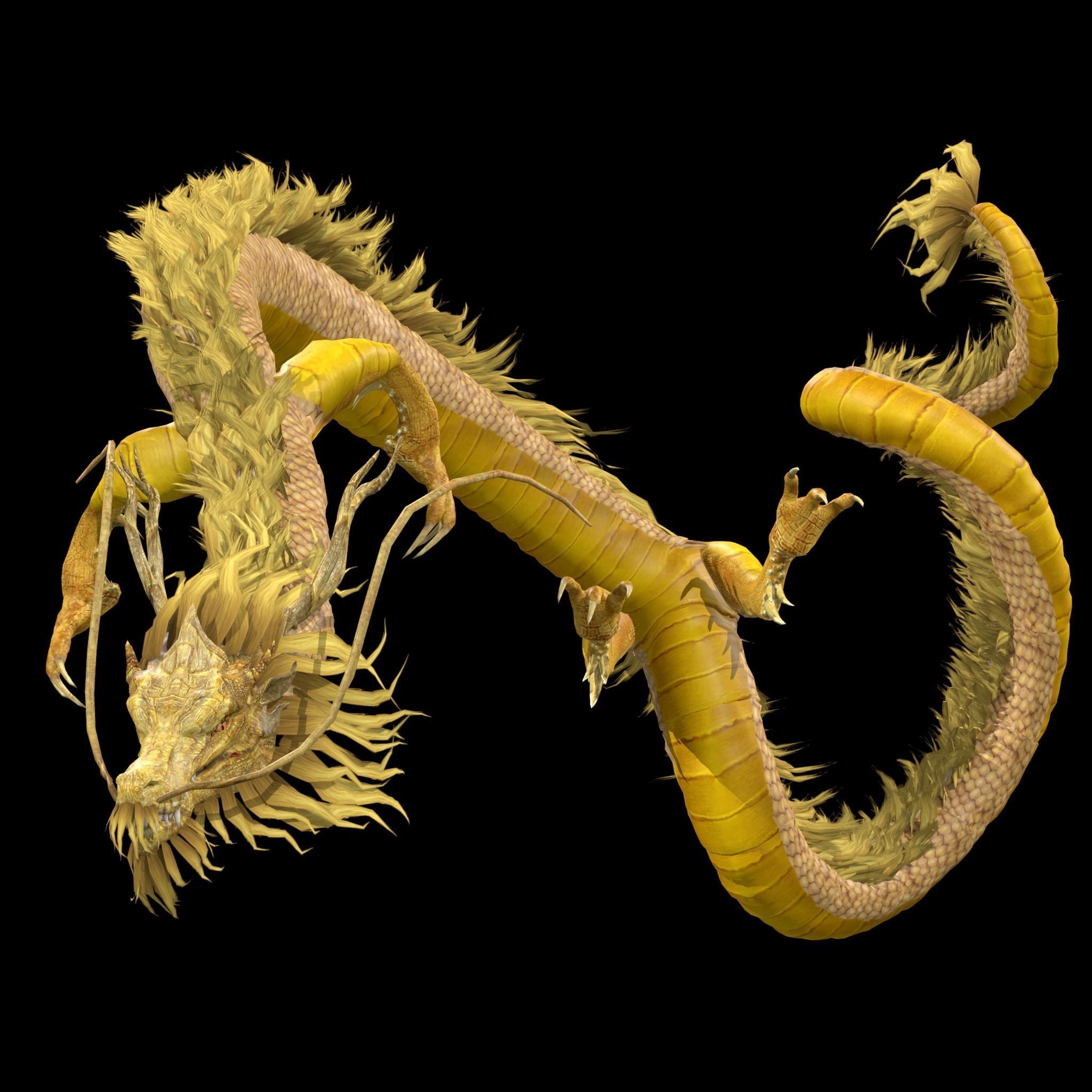 Chinese Dragon Animated 3D model_6
