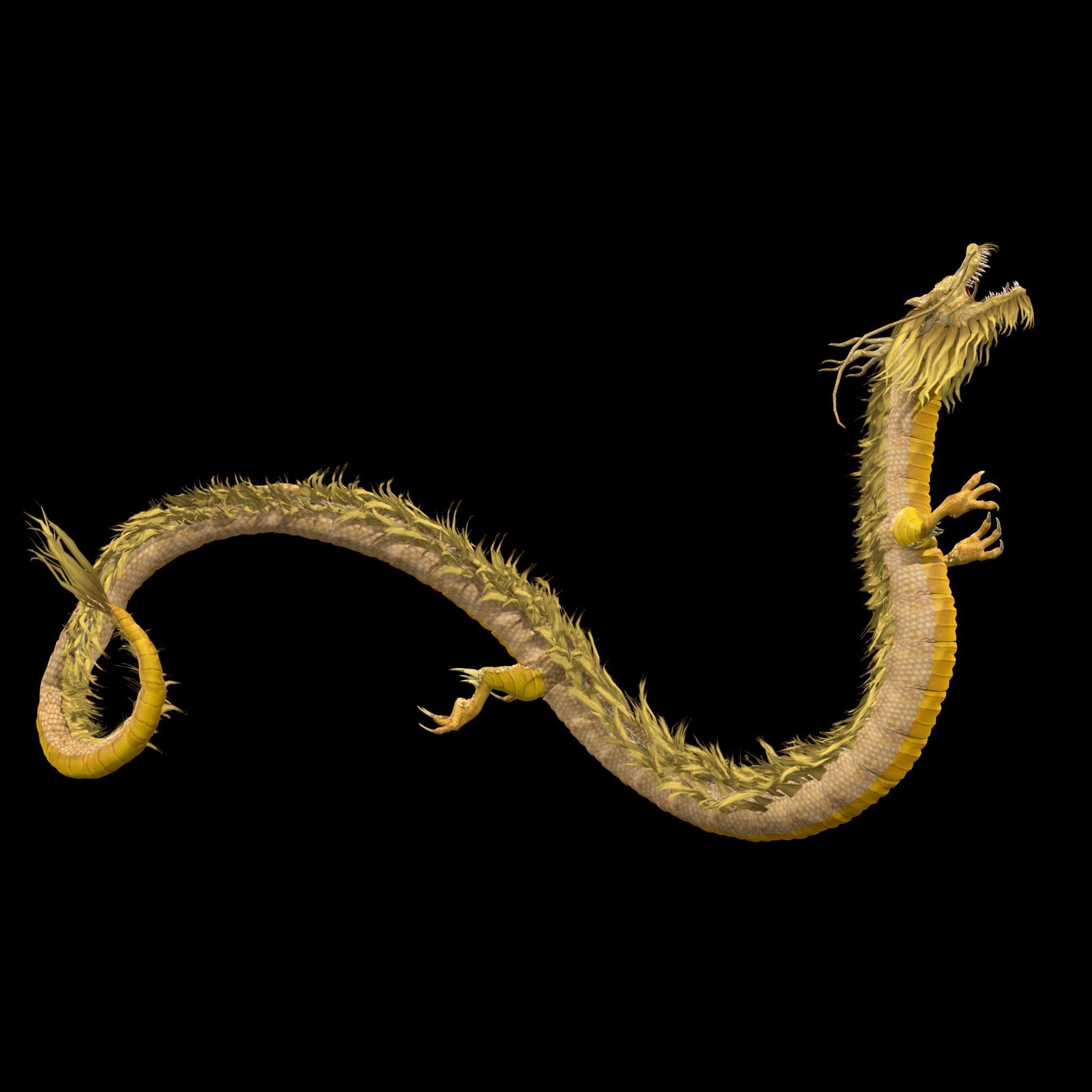 Chinese Dragon Animated 3D model_3