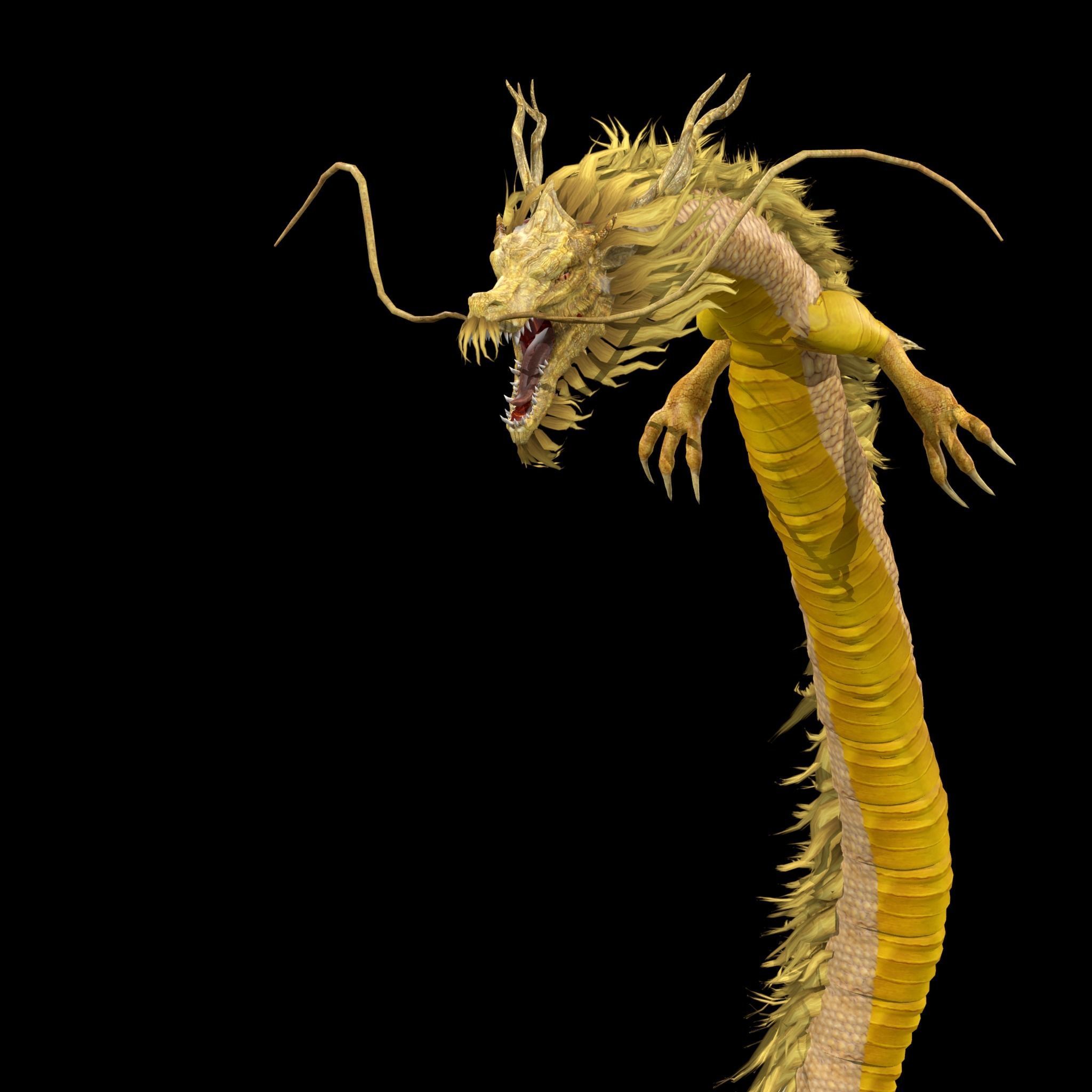 Chinese Dragon Animated 3D model_4