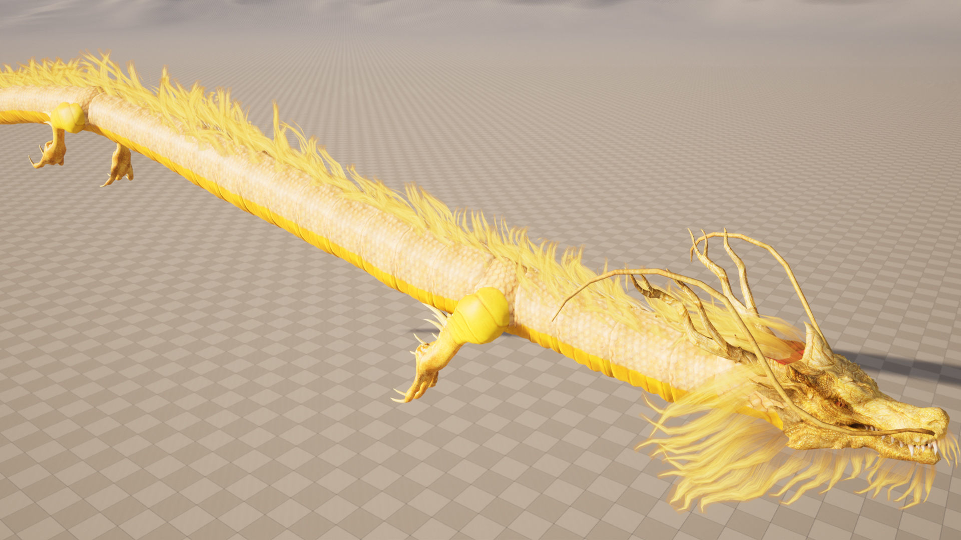 Chinese Dragon Animated 3D model_14