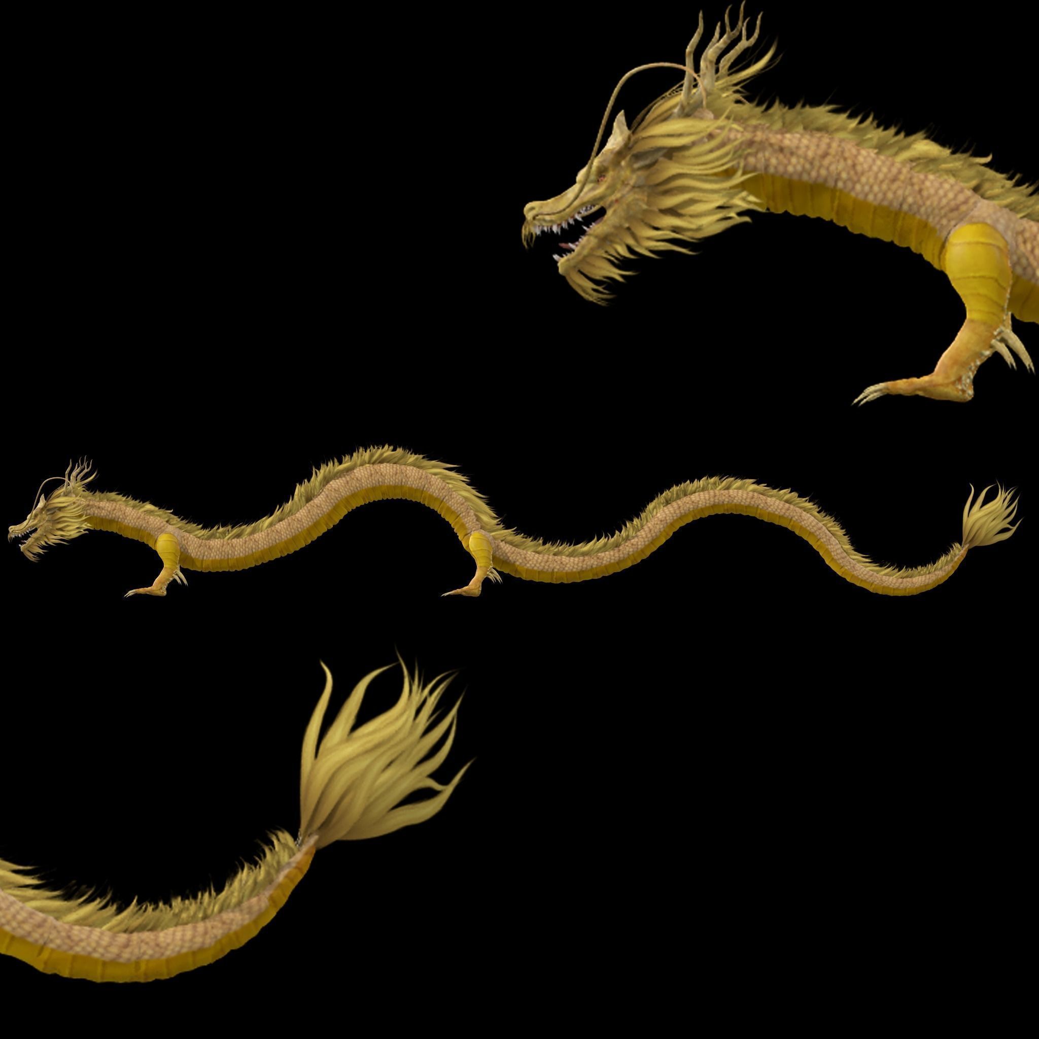 Chinese Dragon Animated 3D model_23