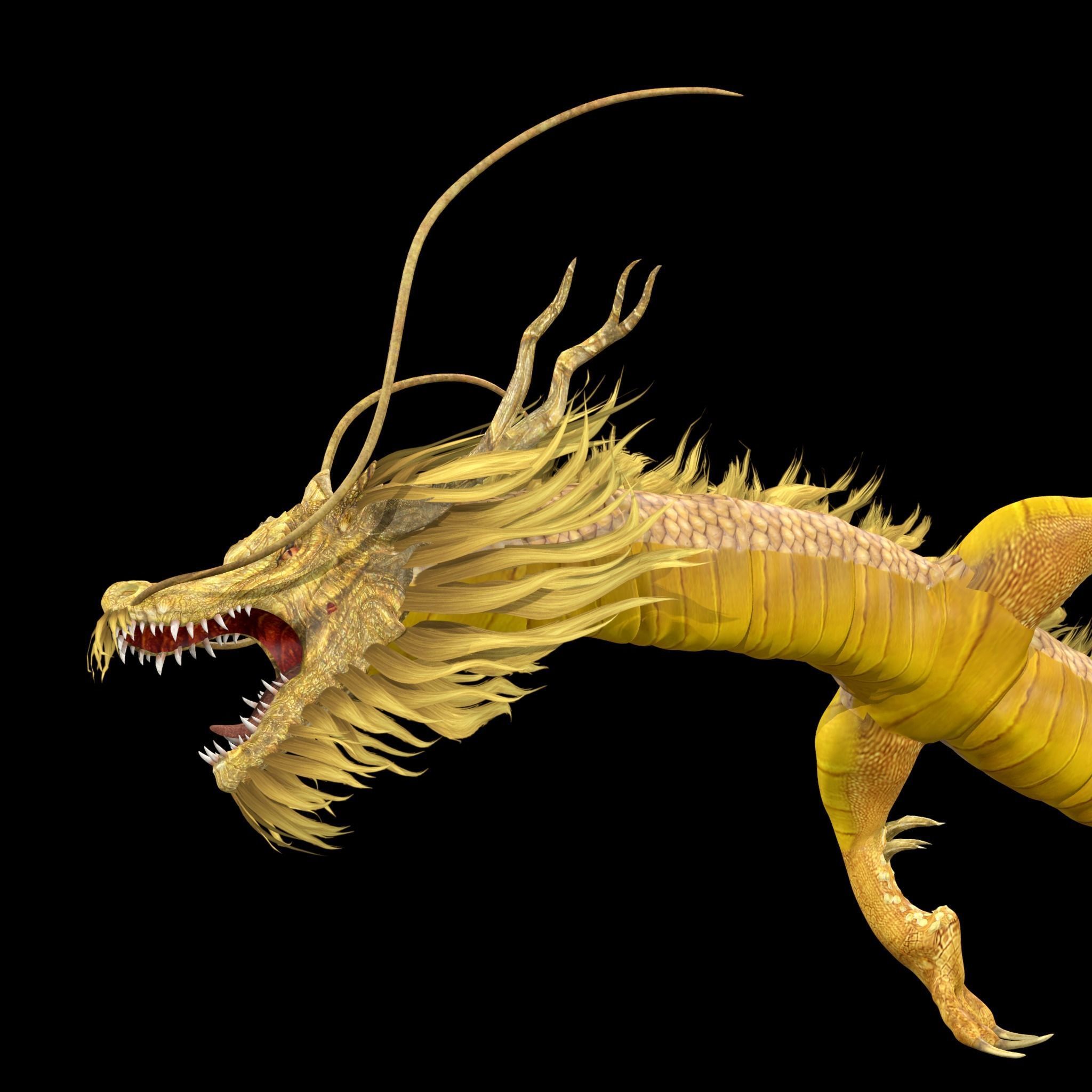 Chinese Dragon Animated 3D model_2