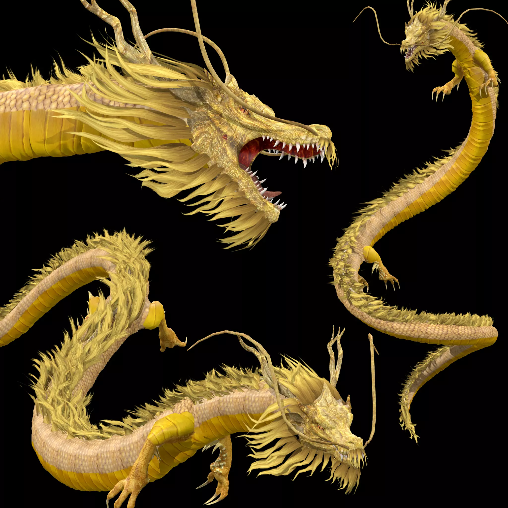 Chinese Dragon Animated 3D model_0