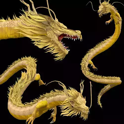 Chinese Dragon Animated 3D model