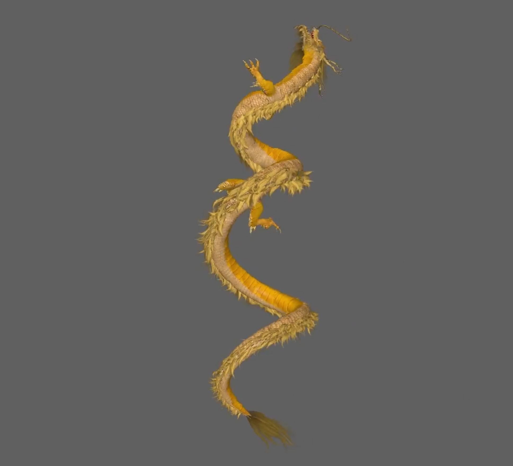 Chinese Dragon Animated 3D model_9