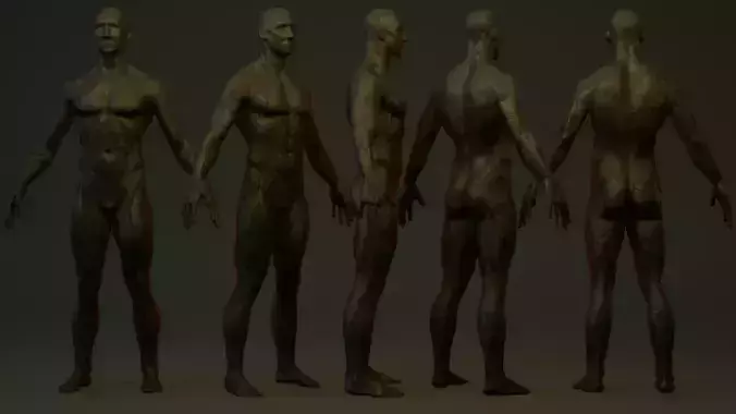 Man Body Basemesh