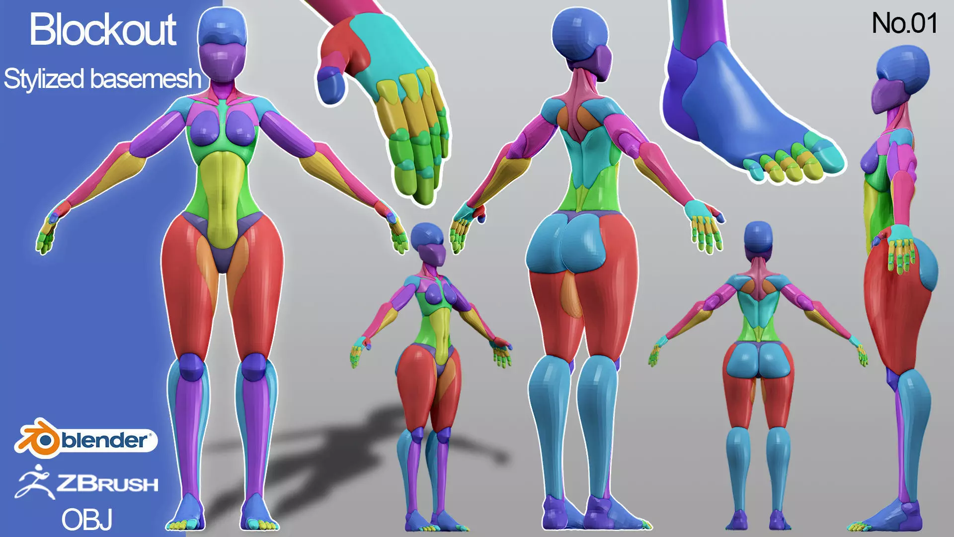 stylized anatomy Basemesh blockout 001 3D model_0