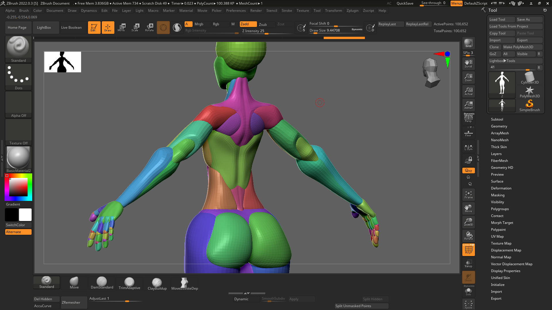 stylized anatomy Basemesh blockout 001 3D model_7