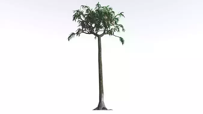 EVERYPlant Lepidodendron Scale Tree LowPoly 2 --12 Models-- Low-poly 3D model