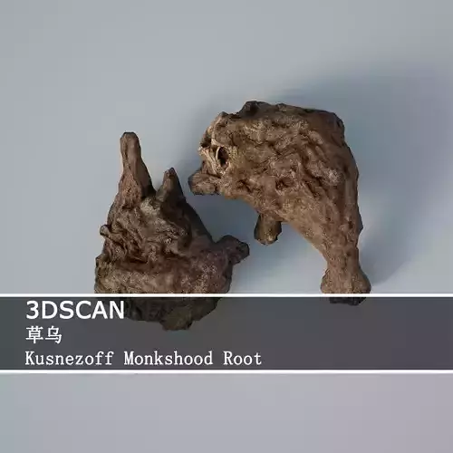 3DSCAN-Traditional Chinese Medicine-Kusnezoff Monkshood Root 3D model