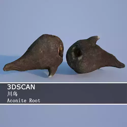 3DSCAN-Traditional Chinese Medicine-Aconite Root Low-poly 3D model