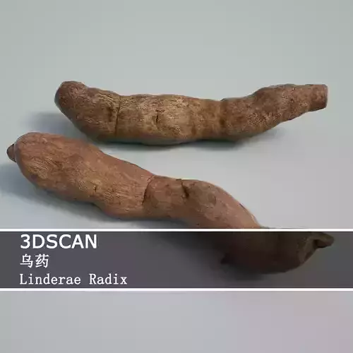 3DSCAN-Traditional Chinese Medicine-Linderae Radix Low-poly 3D model