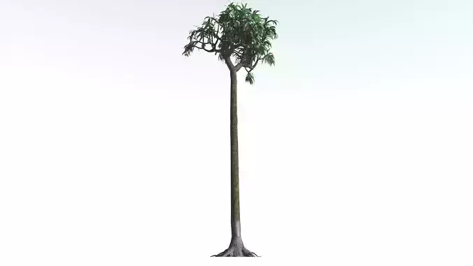 EVERYPlant Lepidodendron Scale Tree LowPoly 3 --12 Models-- Low-poly 3D model