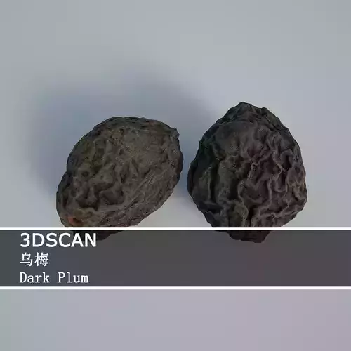 3DSCAN-Traditional Chinese Medicine-Dark Plum Low-poly 3D model