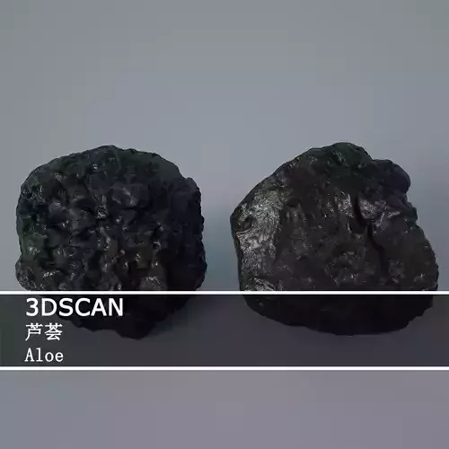 3DSCAN-Traditional Chinese Medicine-Aloe Low-poly 3D model