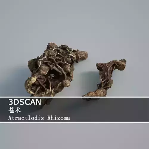 3DSCAN-Traditional Chinese Medicine-Atractlodis Rhizoma Low-poly 3D model