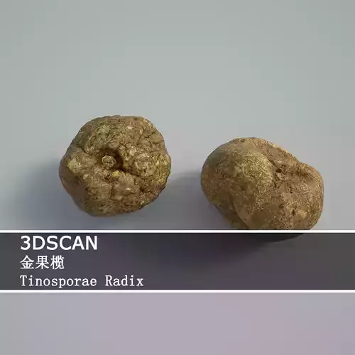 3DSCAN-Traditional Chinese Medicine-Tinosporae Radix