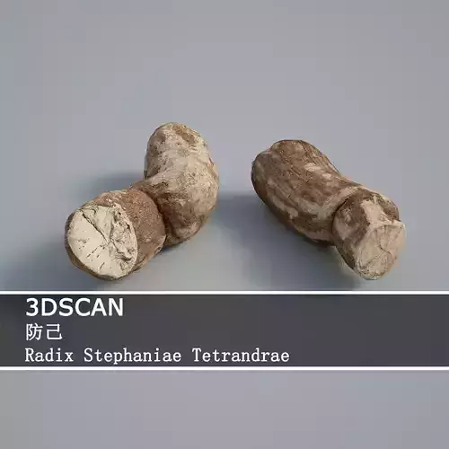 3DSCAN-Traditional Chinese Medicine-Radix Stephaniae Tetrandrae Low-poly 3D model