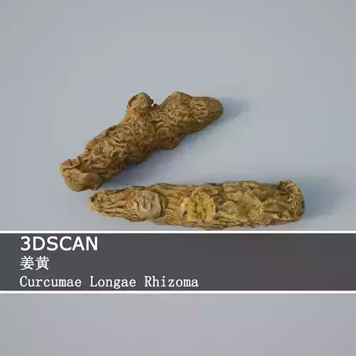 3DSCAN-Traditional Chinese Medicine-Curcumae Longae Rhizoma Low-poly 3D model