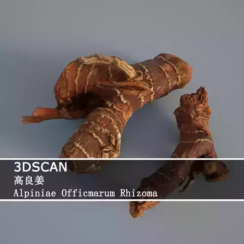 3DSCAN-Traditional Chinese Medicine-Alpiniae Officmarum Rhizoma Low-poly 3D model
