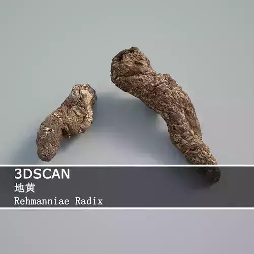 3DSCAN-Traditional Chinese Medicine-Rehmanniae Radix