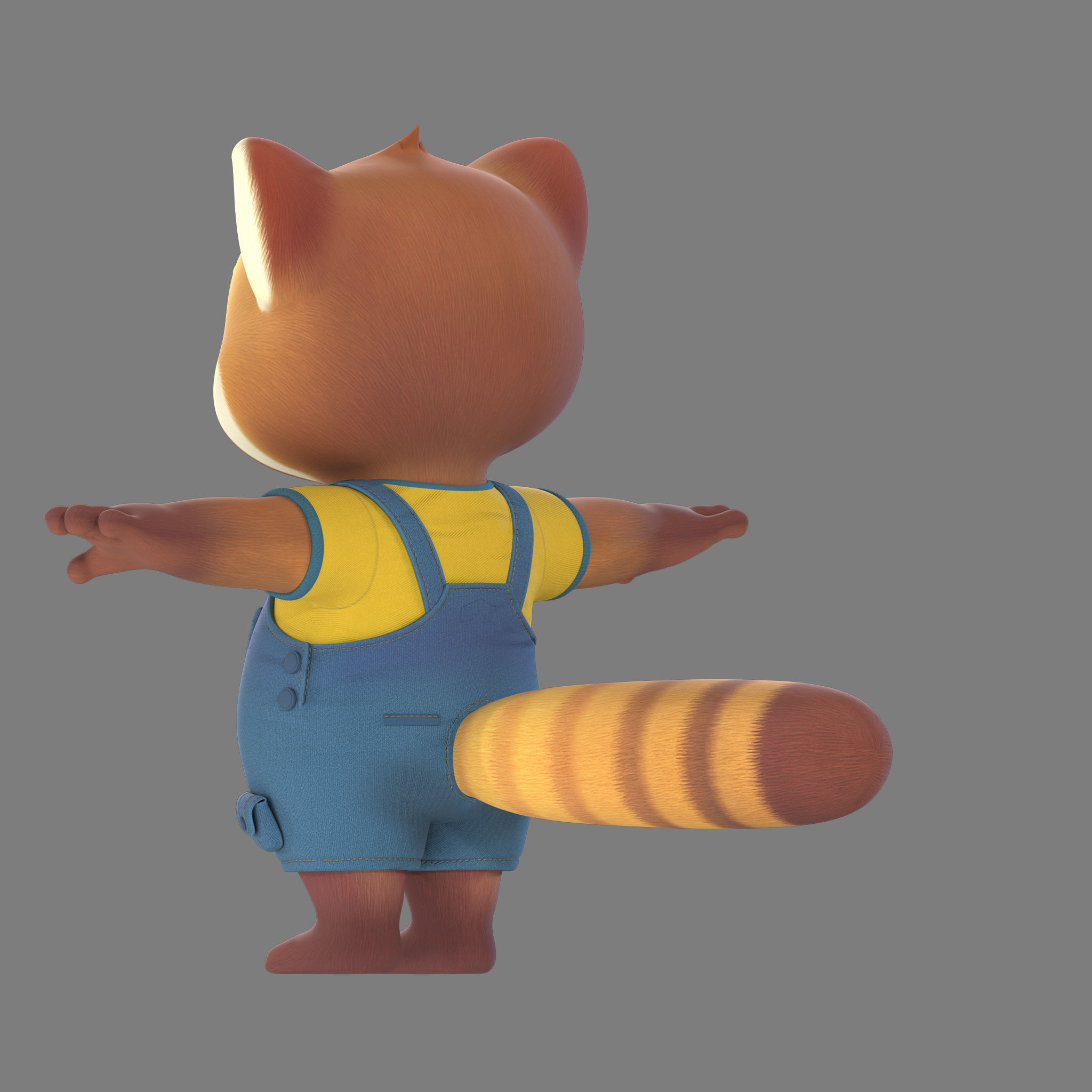 raccoon 3D model_5