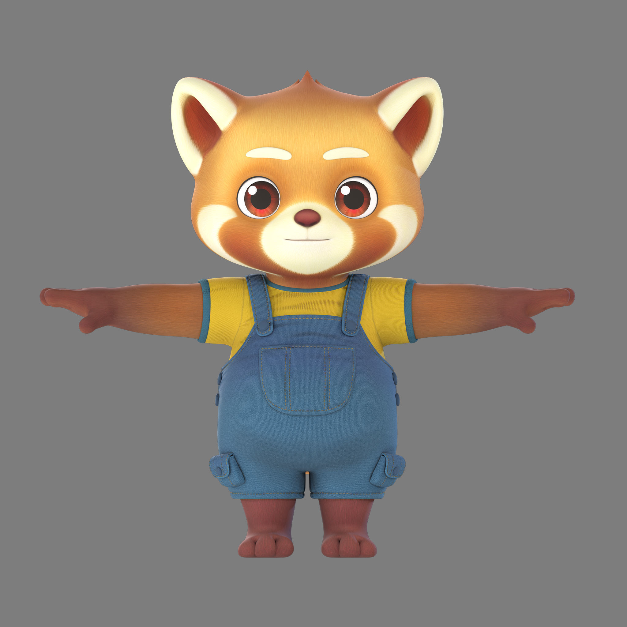 raccoon 3D model_3