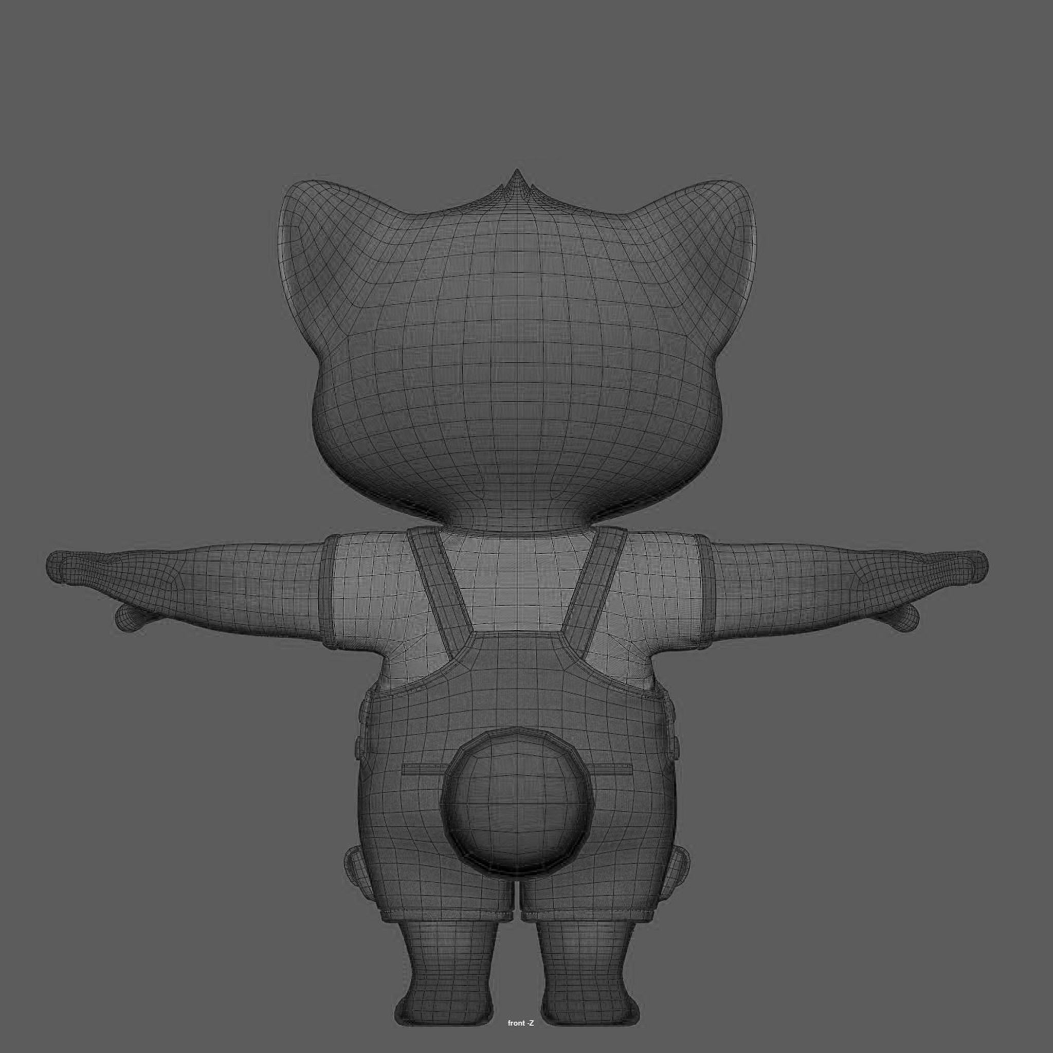 raccoon 3D model_11
