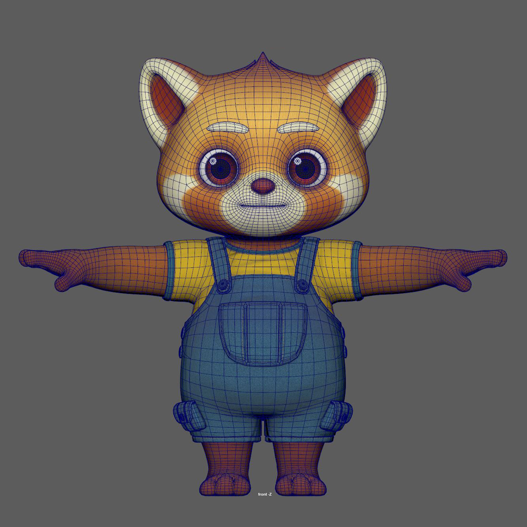 raccoon 3D model_9