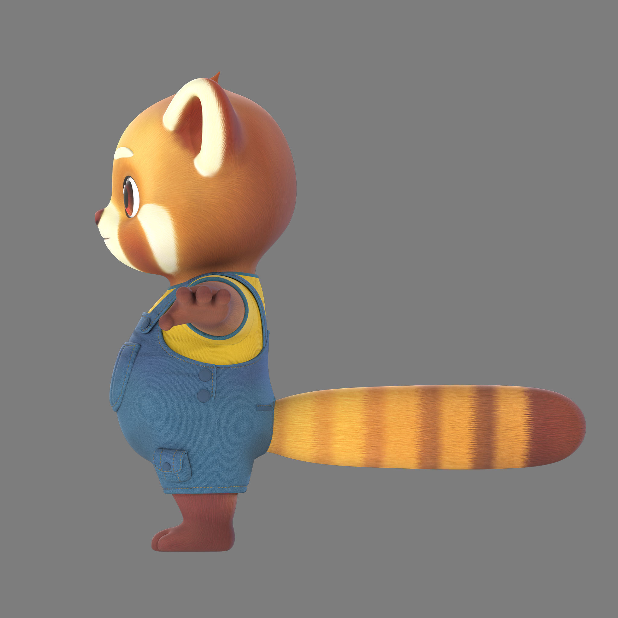 raccoon 3D model_4