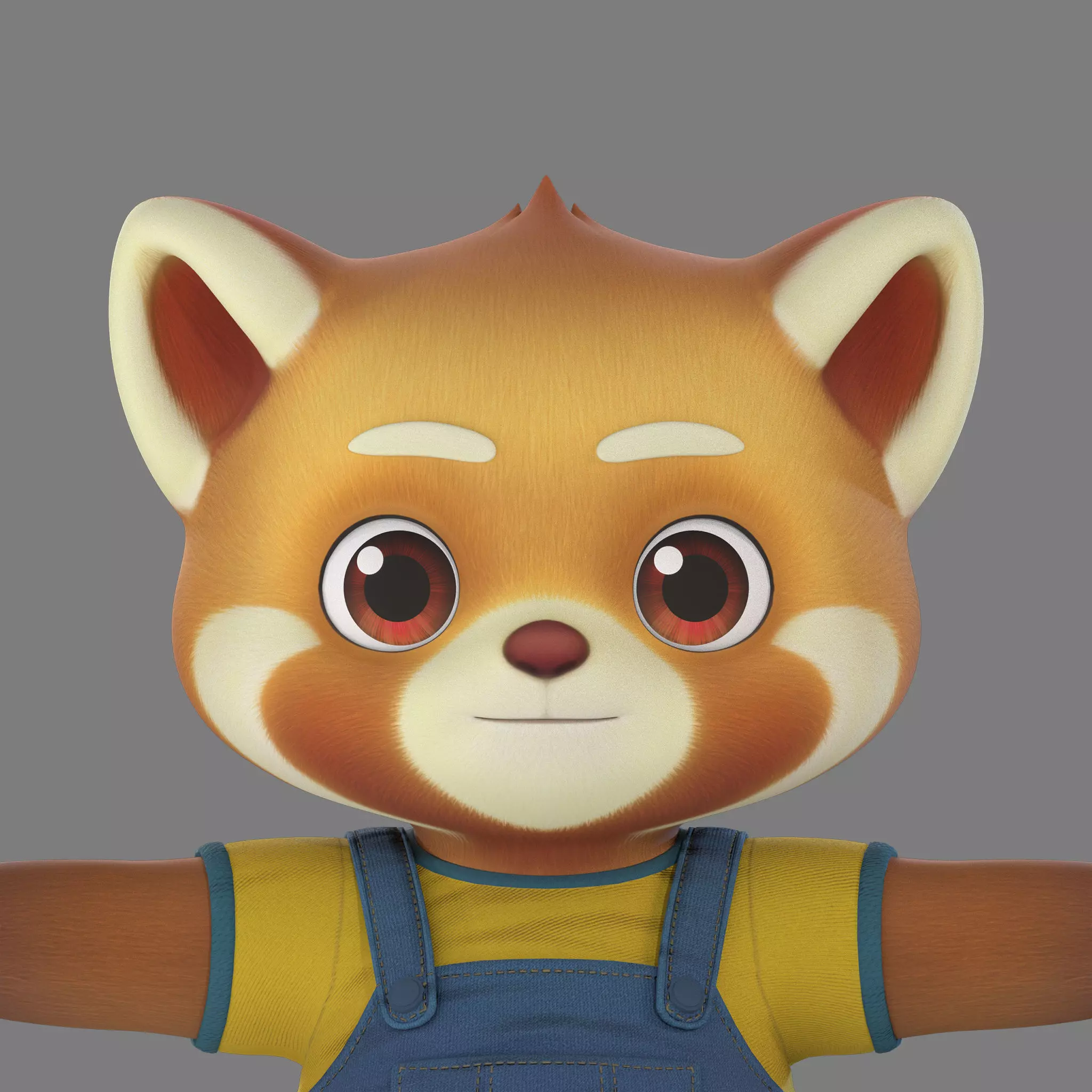 raccoon 3D model_0