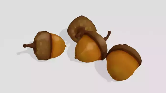 Acorn - Hand Painted 3D model