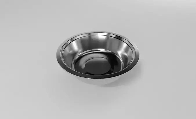 Pet Food Bowl