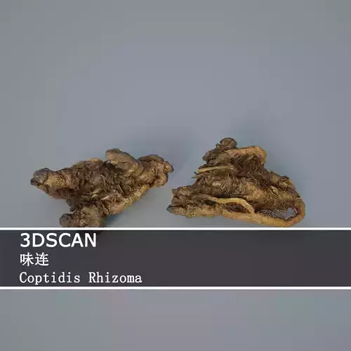 3DSCAN-Traditional Chinese Medicine-Coptidis Rhizoma